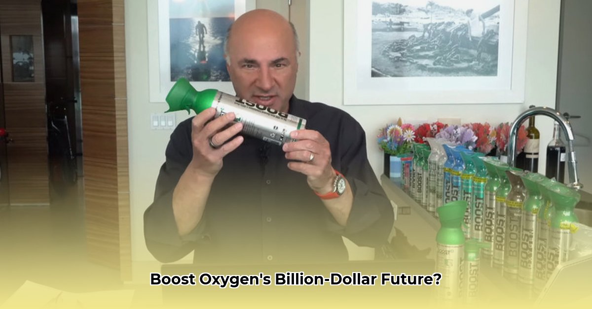 how-much-is-boost-oxygen-net-worth